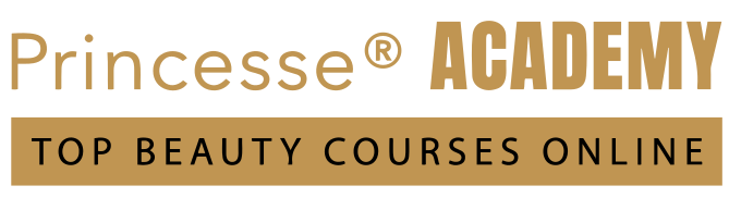 Logo - Princesse Academy